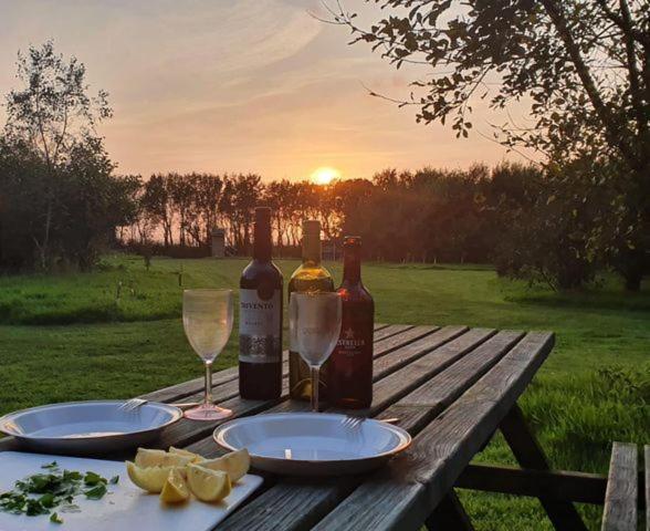 Mill Haven Place Glamping-Yurt 2 Haverfordwest Bagian luar foto