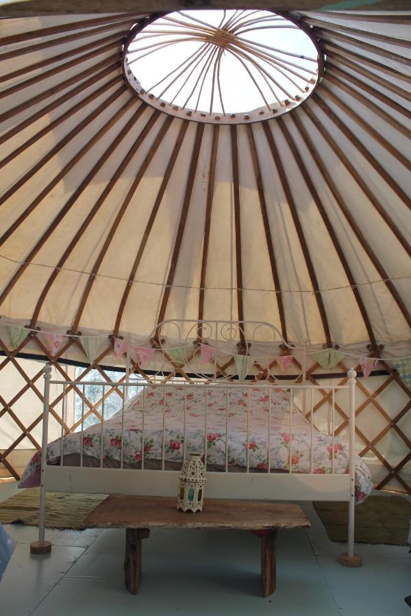 Mill Haven Place Glamping-Yurt 2 Haverfordwest Bagian luar foto